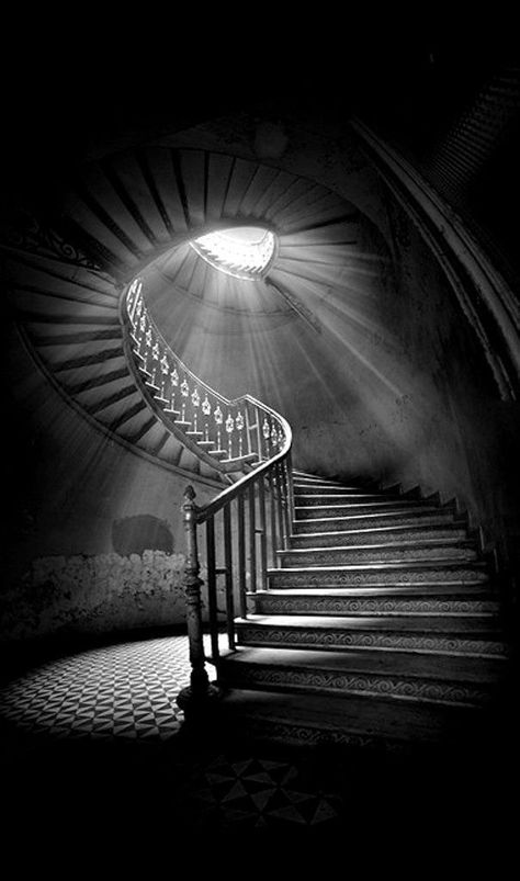 Black and white photography. Charcoal Drawings, Dark Pictures, Foto Art, Spiral Staircase, White Picture, Lens Flare, Black White Photos, Black And White Pictures, Black And White Photographs