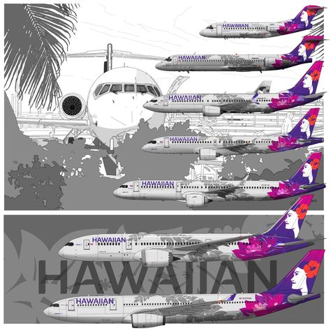 Airline Jobs, All Airlines, Hawaiian Airlines, Alaska Airlines, Good Vocabulary Words, Good Vocabulary, Air Lines, Aircraft Pictures, Picture Design