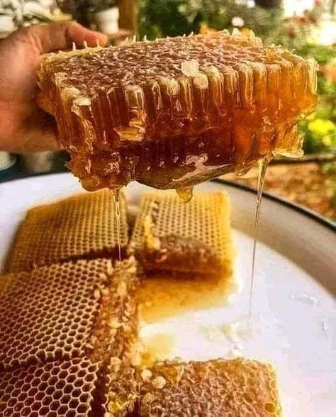 Health Benefits Of Honey, Honey Aesthetic, Honey Cafe, Benefits Of Honey, Drinks From Around The World, Bistro Food, Honey Benefits, Yummy Comfort Food, Country Garden