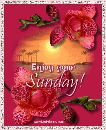 Enjoy Your Sunday love day flowers heart friend blessing days of the week sunday greeting Sunday Gif, Good Morning Sunday Images, Happy Sunday Morning, Sunday Morning Quotes, Sunday Greetings, Sunday Images, Enjoy Your Sunday, Sunday Love, Good Morning Happy Sunday