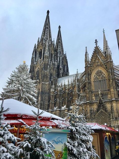 Bonn, Wiesbaden, Germany Aesthetic Christmas, Christmas Market Cologne, Köln Christmas Market, Germany During Christmas, Cologne Germany Christmas, Germany Aesthetic Winter, Christmas Cathedral