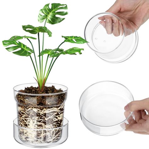 PRICES MAY VARY. Material and Color: pot with drainage and saucer are made from glass, its transparency allows users to observe the growth process of the plants; The color of this pot is clear, enabling you to match it with home or office decor, making a modern and elegant impression in its surroundings Drainage System and Tray: plant nursery pots are notably equipped with drainage holes, crucial in preventing the over watering of plants and promoting root growth; Conveniently, the package also Plant Window Sill, Window Sill Plants, Plant Window, Plant Tray, Drainage System, Glass Planter, Root Growth, Planter Pots Indoor, Plant Collection