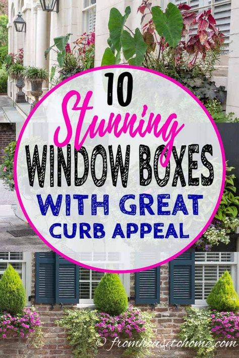 These ideas for window boxes are gorgeous! Whether you are planting them in full sun or shade, there are flower combinations that will work for you and look beautiful all summer long. Full Sun Potted Plants Outdoor Ideas, Window Box Flowers Low Maintenance, Shade Window Box Plants, Window Box Flowers For Sun, Full Sun Window Box Ideas, Full Sun Container Ideas, Window Box Flowers For Shade, Dream Landscaping, Flower Box Ideas