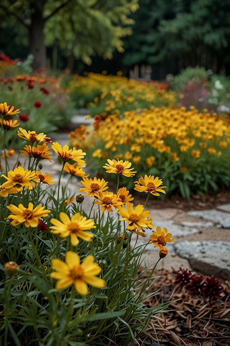 15 Best Flowers For North Carolina Gardening In North Carolina, North Carolina Garden, South Carolina Native Flowers, North Carolina Wildflowers, North Carolina State Flower, Native Plant Landscape, Flower Bed Designs, Outside Plants, Southern Garden