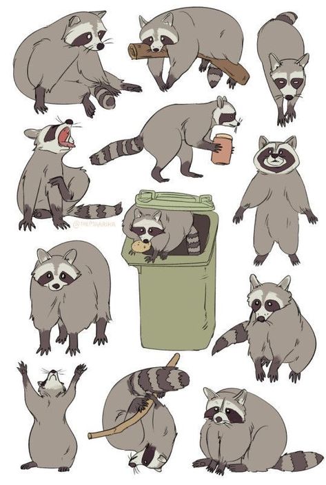 Raccoon Drawing, Raccoon Art, Panda Tattoo, Cute Raccoon, Arte Inspo, Animal Sketches, Racoon, 영감을 주는 캐릭터, Cute Animal Drawings