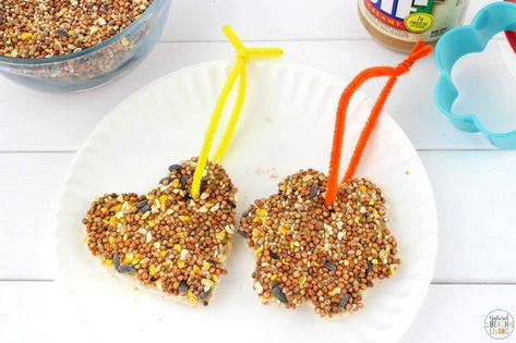 Easy Peanut Butter Bird Treats Kids Can Make - Natural Beach Living Bird Food Recipes, Bird Seed Crafts, Bird Seed Ornaments Recipe, Bird Feeders For Kids To Make, Seed Ornaments, Seed Craft, Make A Bird Feeder, Bird Feeder Craft, Bird Seed Ornaments