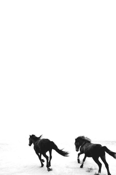 Black & White Aesthetic | Horses | Running | Beach Black And White Horse Aesthetic, Horse Wallpaper Iphone Backgrounds, Aesthetic Horse Wallpaper, Aesthetic Horse, Wallpaper Animals, Wallpaper Backgrounds Aesthetic, Equestrian Aesthetic, Black And White Art Drawing, Horse Wallpaper