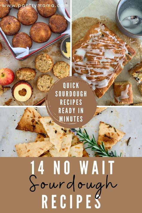 Quick Recipes With Sourdough Starter, Easy Sourdough Snacks, No Rise Sourdough Recipes, Sourdough Starter Discard Recipes Healthy, Sourdough Discard No Wait, Easy Sourdough Recipes No Wait, Eggless Sourdough Recipes, Sourdough Recipes Quick, Easy Sourdough Discard Recipe