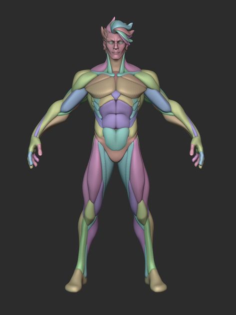 Base Mesh Female, Stylized Character Anatomy, Hand Turnaround, Arms Anatomy, Simplified Anatomy, Muscular Arm, Stylized Anatomy, Torso Anatomy, Zbrush Anatomy