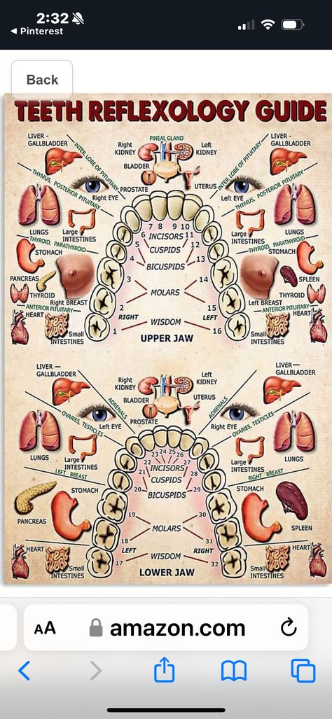 Body Reflexology, Reflexology