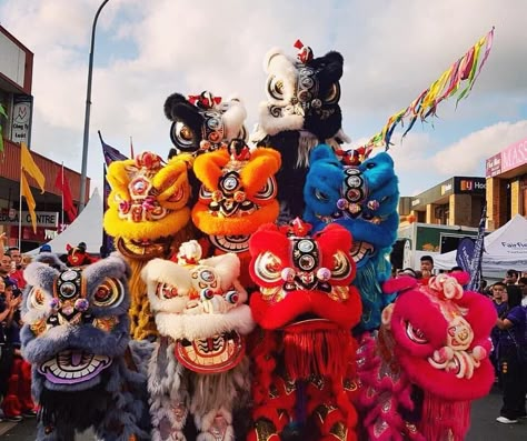 Lion Costumes, Chinese New Year Ideas, Asian Mythology, Chinese Lion Dance, Lion Dragon, Chinese Lion, Cultural Dance, Asian Things, New Year Ideas