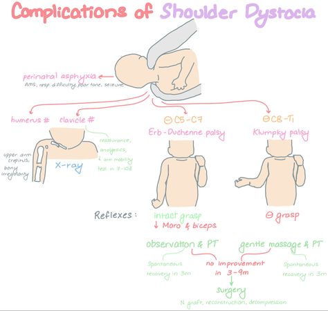 Shoulder Dystocia, Midwifery Student, Student Midwife, Nursing School Essential, Ob Nursing, Medical Wallpaper, Lpn Nursing, Medical School Studying, Anatomy Study