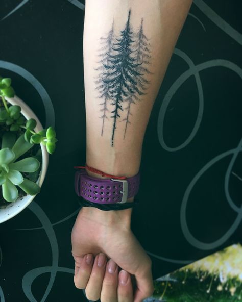 Forearm Pine Tree Tattoo, Evergreen Tattoo Washington, Tamarack Tree Tattoo, 3 Trees Tattoo, Three Trees Tattoo, Pine Forest Tattoo, Pine Tree Tattoos For Women, Spruce Tree Tattoo, Pine Trees Tattoo