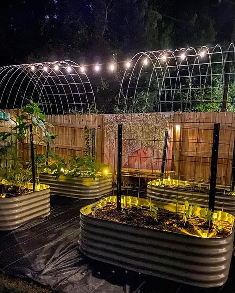 Container Garden Trellis Ideas, Above Ground Garden Layout, Vega Garden Beds, Vegie Gardens Layout, Metal Raised Garden Beds With Trellis, Diy Garden Small Spaces, Garden With Metal Raised Beds, Rise Garden Bed Ideas, Backyard Raised Bed Garden Ideas