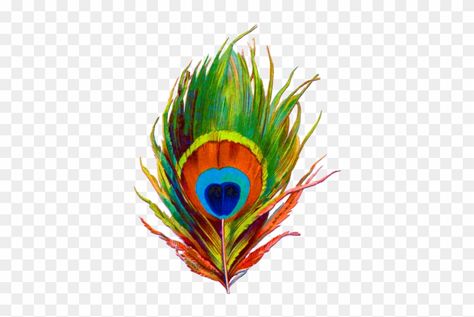 More Pankh, Flute Tattoo, Feather Png, Feather Clip Art, Photoshop Png, Hindi Font, Peacock Feather Tattoo, Janmashtami Decoration, Feather Vector