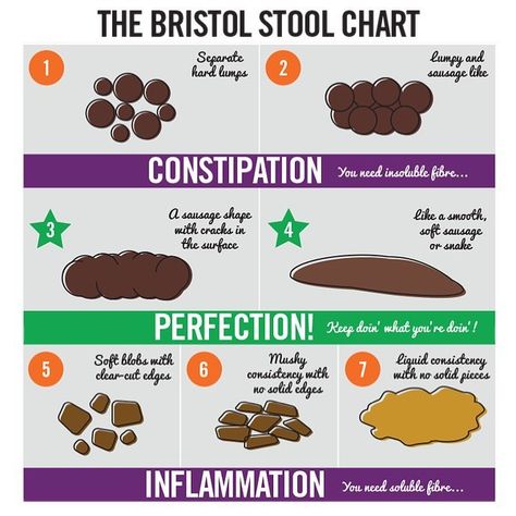 Adam Bisek, CSCS’s Instagram post: “💩Know Your S@*$💩 • This user friendly info graphic of the Bristol Scale is a great tool to assess the health of your doodoo. • All too…” Bristol Stool, Bristol Stool Chart, Stool Chart, Fruit Diet, Bowel Movement, Constipation Relief, Fitness Ideas, Soluble Fiber, Leaky Gut