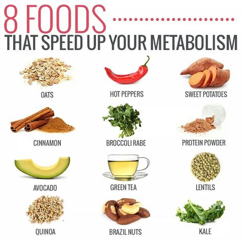 Metabolism Fix Metabolism, Metainfluencing Foods, Healthy Food Chart, Speed Up Your Metabolism, Metabolism Diet, Metabolism Boosting Foods, Food Health Benefits, Healthy High Protein Meals, Healthy Metabolism