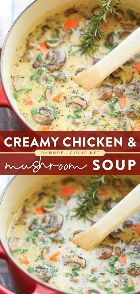 CREAMY CHICKEN AND MUSHROOM SOUP, fall comfort food, dinner ideas, soup recipes, chicken recipes Creamy Chicken And Mushroom Soup, Chicken And Mushroom Soup, Chicken And Mushroom, Fall Soup Recipes, Fall Comfort Food, Fall Dinner Recipes, Fall Soups, Chicken Soup Recipes, Fall Dinner