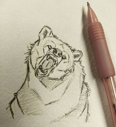 Elora on Instagram: “A quick bear sketch . . . #art #drawings #animalart #sketch #artgallery #animaldrawing #bear #grizzlybear #draw #drawingsketch…” Bear Drawing Scary, Cool Bear Drawings, Bear Growling Drawing, Grizzly Bear Drawing Sketches, Bear Sketch Drawing, Drawing A Bear, Bear Art Reference, Scary Bear Drawing, Bear Eyes Drawing