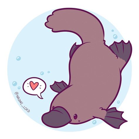 Have a Platypus! 😊💕 This weeks giveaway is now over and the winner has been messaged but there's always next weekend 😘 • #platypus #cute #kawaii #chibi #digitalart #digitalpainting #instaart #instadaily #instaartist #illustrationoftheday #illustration #art #doodle Cute Platypus, Naomi Lord, Platypus, The Winner, Water, On Instagram, Instagram