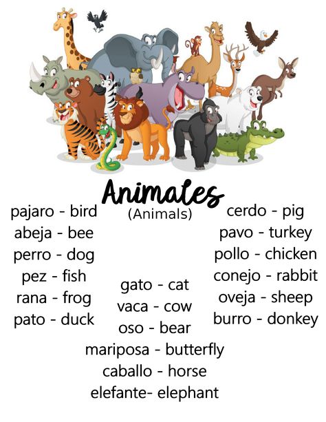 Teaching Colors In Spanish, Animals In Spanish, Spanish Sight Words, Learning Spanish Aesthetic, Learn Spanish, Spanish Words For Kids, Preschool Spanish Lessons, Spanish Animals, Beginner Spanish Lessons