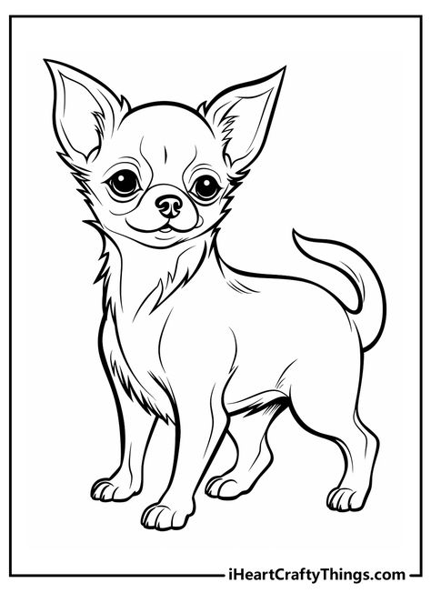 Chihuahua Sketch Drawing, Cute Dog Art Drawing, Chiwawa Dog Drawing, Chiwawa Drawings, Chihuahua Drawing Simple, Chihuahua Doodle, Chihuahua Drawings, Chihuahua Sketch, Chihuahua Coloring Pages