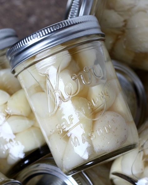 Barefeet In The Kitchen: Kitchen Tip: How To Preserve Garlic Home Canning, Kampot, Aioli, How To Preserve Garlic, Preserve Garlic, Preserving Garlic, Canning Food Preservation, Canned Food Storage, Pickled Garlic