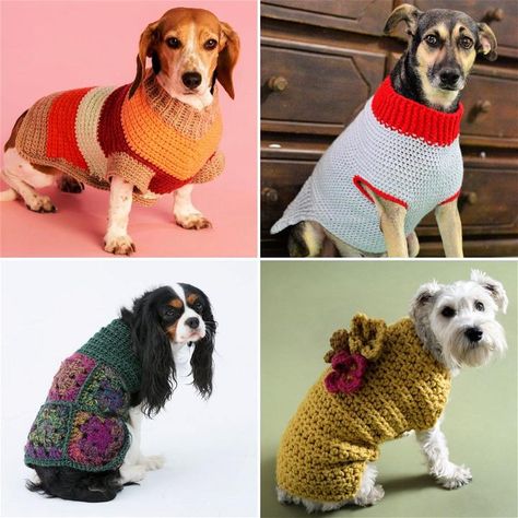 Last winter, I decided it was time to crochet a sweater for my dog, Buddy. The cold weather seemed bothersome for him during our walks. I knew nothing about crocheting dog sweaters, so I started looking for easy patterns. It was overwhelming at first, to see all the options, but eventually, I found patterns that were simple and straightforward. These patterns were a game-changer for me and Buddy. The first sweater I made wasn't perfect, but Buddy seemed to appreciate it. He was warmer and more Dogs Sweater Pattern, Crochet Puppy Pattern Free Dog Sweaters, Free Crochet Patterns For Dog Clothes, Crochet Dog Poncho Free Pattern, Easy Dog Sweaters Crochet Free, Crochet Small Dog Sweater Free Pattern, Small Dog Sweaters Crochet Free, Easy Crochet Dog Sweater Free Pattern, Crocheted Dog Sweaters Free Pattern Easy