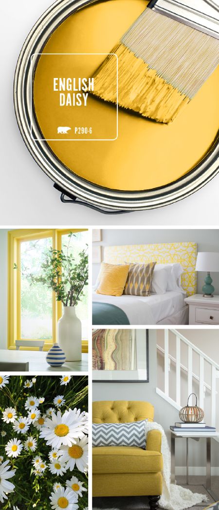 All of the warmth and vibrant colors of summer are captured in one stylish hue with BEHR’s Color of the Month: English Daisy. This rich golden yellow works great as a bright accent color when paired with neutral grays and whites or deep greens. Click here to learn more about how you can use this trendy hue in your home. Mauve Paint, Olive Paint, Color Spotlight, English Daisy, Plum Trees, Sunset Drive, Color Of The Month, Ombre Wall, Illustrated Instructions