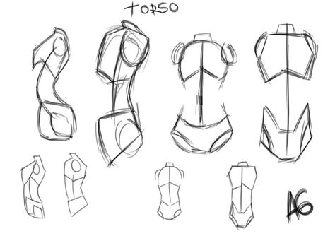 Female Anatomy Drawing Basic Shapes, Body Anatomy Shapes, Art Reference Body Human Anatomy, Torso Guidelines, Body Reference Shapes, Anatomy In Shapes, Shapes For Anatomy, Woman Anatomy Drawing Reference, How To Draw A Torso Female