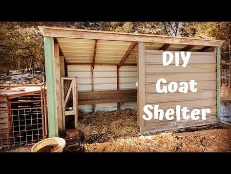 Building your own DIY goat shelter is simple, and it doesn't require too much of an investment. There are plenty of goat shelter plans How To Build A Goat Shelter, A Frame Goat Shelter, Diy Goat House, Quick Goat Shelter, Goat Barn Ideas, Diy Goat Shelter, Goat Pallet Shelter, Dog Igloo, Diy Pallet Shelter For Goats