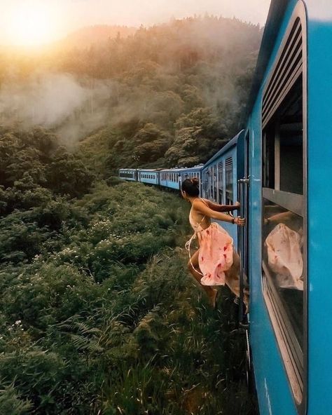 Scenic Train Rides, Blue Train, Train Tour, Sri Lanka Travel, Train Journey, Tropical Island, Train Rides, Train Travel, Travel Inspo