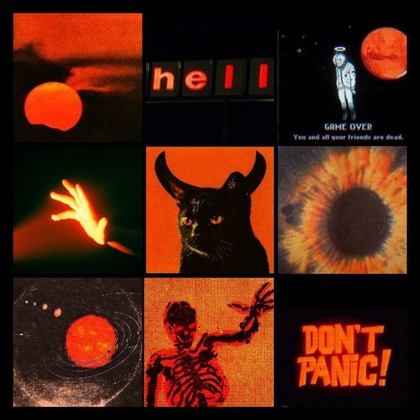 Orange And Black Moodboard, Aesthetic Orange Images, Trans Moodboard, Animal Moodboard, Moodboard Orange, Orange Moodboard, Halloween Moodboard, Fursona Ideas, Adopt Idea