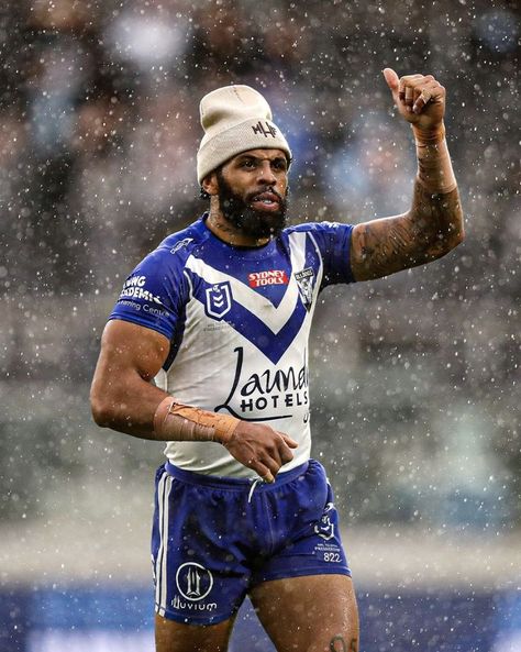 Bulldogs Nrl, Nrl Bulldogs, Canterbury Bulldogs, Rugby League, Rugby, Bulldog