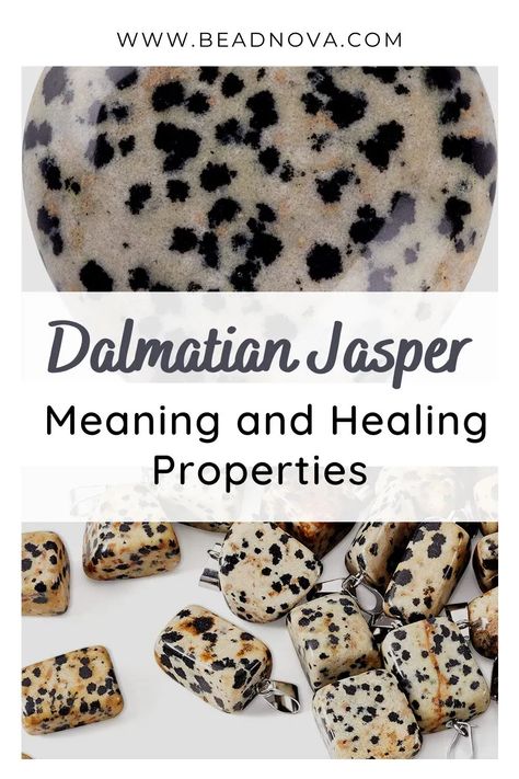 Dalmatian Jasper Crystal Meaning, Dalmatian Jasper Meaning, Jasper Meaning, Dalmatian Stone, Spiritual Awakening Signs, Crystal Uses, Crystal Guide, Cleansing Crystals, Crystal Aesthetic