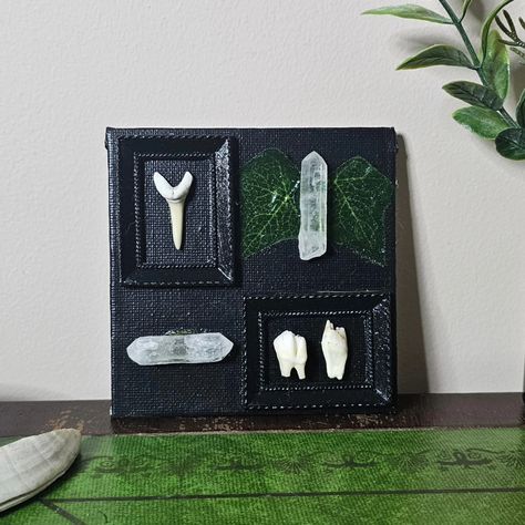 🦷 Haunted cottagecore framed teeth and quartz points 🌿 available on the etsy! 🔗 In bio 🫀 #taxidermy #odditiesandcuriosities #oddities #witchcraft #witchaesthetic #witchesofaustralia #witchshop #witchyart #handmade #oddity #handmadeart #brisbanewitch #brisbanebusiness #Australianmade #smallartist #smallbusiness Haunted Cottagecore, Oddities Decor, W.i.t.c.h Aesthetic, Witch Shop, Thrift Stores, Quartz Points, Taxidermy, Handmade Art, Witch