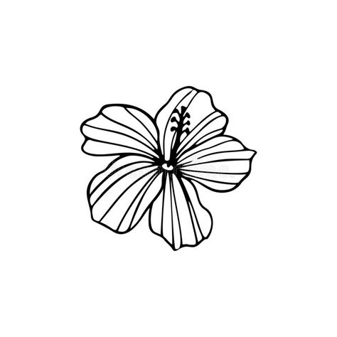 Hibiscus Outline, Hibiscus Clip Art, Symbolic Art, Line Art Vector, Flower Silhouette, Flower Outline, Line Artwork, Flower Stencil, Hibiscus Flowers