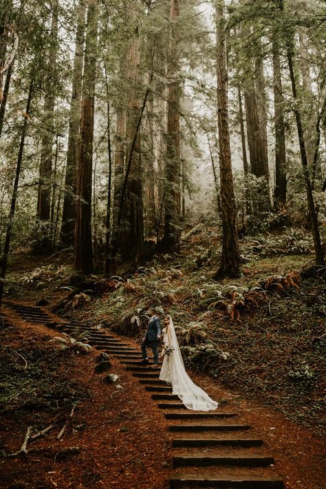 Redwood Wedding California, Redwoods Elopement, Redwood Forest Wedding, Muir Woods National Monument, Woods Wedding, Redwood Wedding, Forest Theme Wedding, Earthy Wedding, Yosemite Wedding