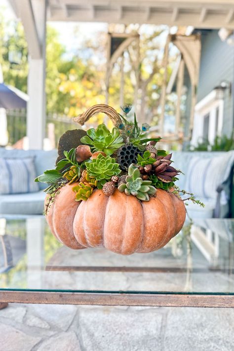 How To Make Succulent Pumpkins, Pumpkin Succulent Centerpiece, Hydrangea Planters, Types Of Pumpkins, Succulent Pumpkin, Pumpkin Centerpiece, Cinderella Pumpkin, Succulent Cuttings, Succulent Centerpieces