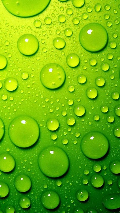 Lime Green Rain Drops iPhone Wallpaper Energy Wallpaper, Iphone 5 Wallpaper, Bubbles Wallpaper, Green Bubble, Widescreen Wallpaper, Water Droplets, Leaf Wallpaper, Green Energy, Background Pictures