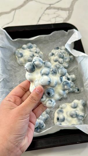 10K views · 9.2K reactions | Blueberry yogurt clusters  Follow @genie_cooks for more.  1 pint fresh blueberries  1 cup vanilla Greek yogurt   Wash and dry blueberries . In a bowl, combine blueberries, and Greek yogurt, then dollop onto a parchment lined plate and place into the freezer until the clusters have set. . . . #snack #healthysnacks #blueberries #blueberry #foodgasm #foodgram #frozenyogurt #yogurt #simplydelicious #snackideas #healthyish #lowcalorie #caloriedeficit #geniecooks | Geenien sheikah | Beast Inside Beats · Freestyle Dry Yogurt, Dried Yogurt, Yogurt Clusters, Frozen Yogurt Blueberries, Blueberry Yogurt, Dried Blueberries, Vanilla Greek Yogurt, 10k Views, Healthy Treats