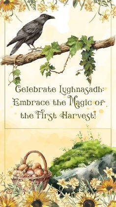 Nature, Lammas Lughnasadh Aesthetic, Seasonal Witchcraft, Lughnasadh Blessings, Lammas Recipes, Happy Lammas, Lughnasadh Aesthetic, Wicca Sabbats, Lughnasadh Recipes