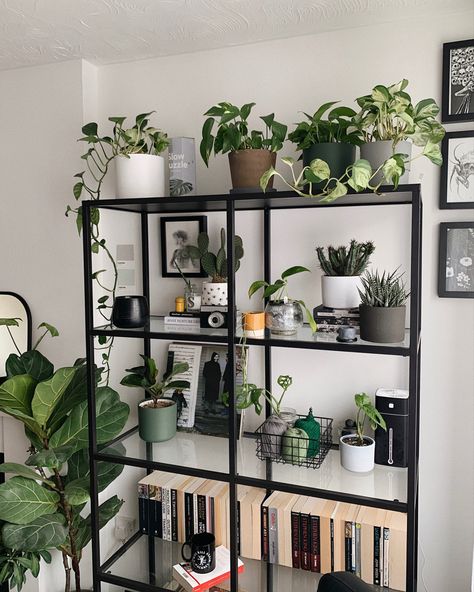 Shelf Decor Ideas Office, Industrial Decor With Plants, Plant Bookshelf Ideas, Bookshelf For Plants, Ikea Vittsjo Living Room, Vittsjo Plant Shelf, Apartment Living Room Plants, Ikea Shelf Decor Ideas, Bookshelf Plants Decor