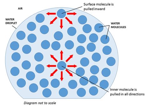 Exploring surface tension. Kitchen chemistry . Diagram of surface tension forces acting on molecules in a liquid droplet Chemistry Kinetics, Surface Tension Experiment, Surface Tension Physics, Water Molecule Structure, Organic Chemistry Reaction Mechanisms, Data Table, Surface Tension, Water Molecule, Science Guy