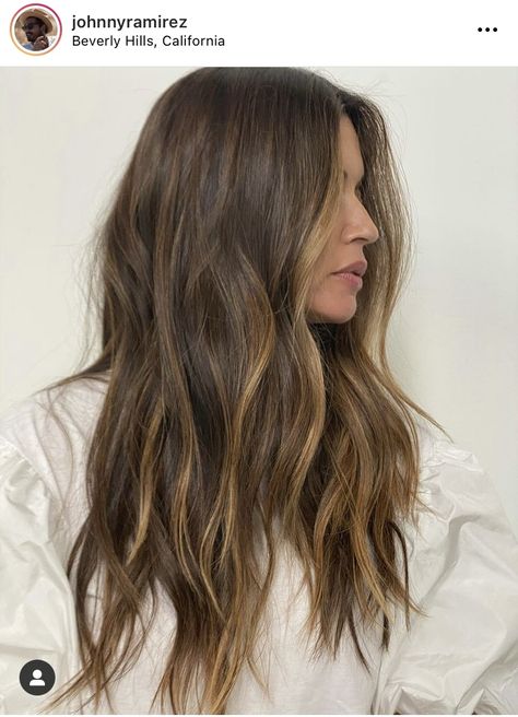 Light Brown Partial Balayage, Mini Partial Highlights, Classic Brunette Hair, Balayage For Medium Brown Hair, Soft Balayage Brunette, Highlights On Medium Brown Hair, Soft Autumn Hair Color, Subtle Brunette Balayage, Fall Brunette Hair