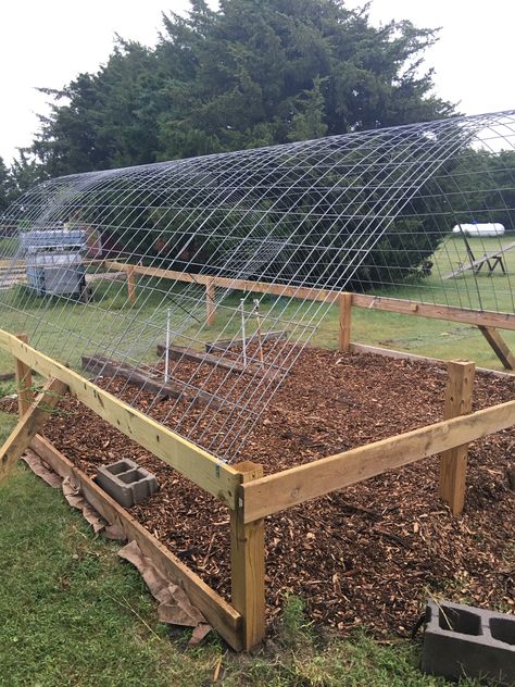 How to build a greenhouse for cheap that is also sturdy Homemade Greenhouse, Cheap Greenhouse, Diy Greenhouse Plans, Best Greenhouse, Winter Greenhouse, Lean To Greenhouse, Outdoor Greenhouse, Build A Greenhouse, Indoor Greenhouse