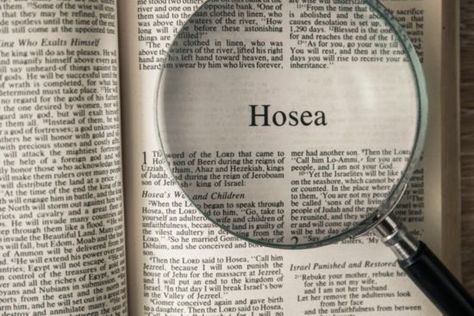 An open Bible turned to the book of Hosea. Hosea And Gomer, Open Bible, God's Promise, Sunday School Activities, Bible Study Lessons, Bible Facts, Encouraging Scripture, Daughters Of The King, Perfect Love