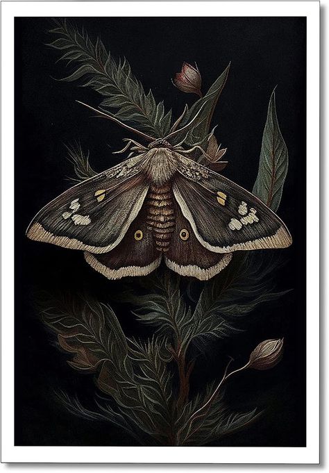 Moth Poster, Painting Dark Academia, Poster For Room, Gothic Cottagecore, Dark Academia Gothic, Black Framed Art, Wall Art Botanical, Butterfly Canvas, Wall Decor For Bedroom