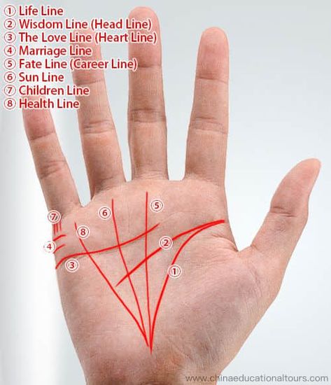 How Chinese Palmistry Works, Palm Lines Meaning, Palm Reading Guide Hand Lines Meaning, Palm Lines Meaning, Marriage Lines Palmistry, Palm Reading Lines, Palm Reading Charts, Palmistry Reading, Palm Lines, Basic Chinese, Palm Reader