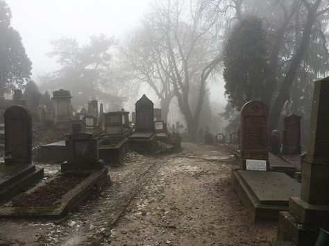 A graveyard of old Transylvanian Saxons, a perfect backdrop for a tale of the Undead, Stoker's original name for his novel. Grave Yard Aesthetic, Old Cemetery, Lockwood And Co, Old Cemeteries, Gothic Aesthetic, Brasov, The Fog, Dark Places, Memento Mori